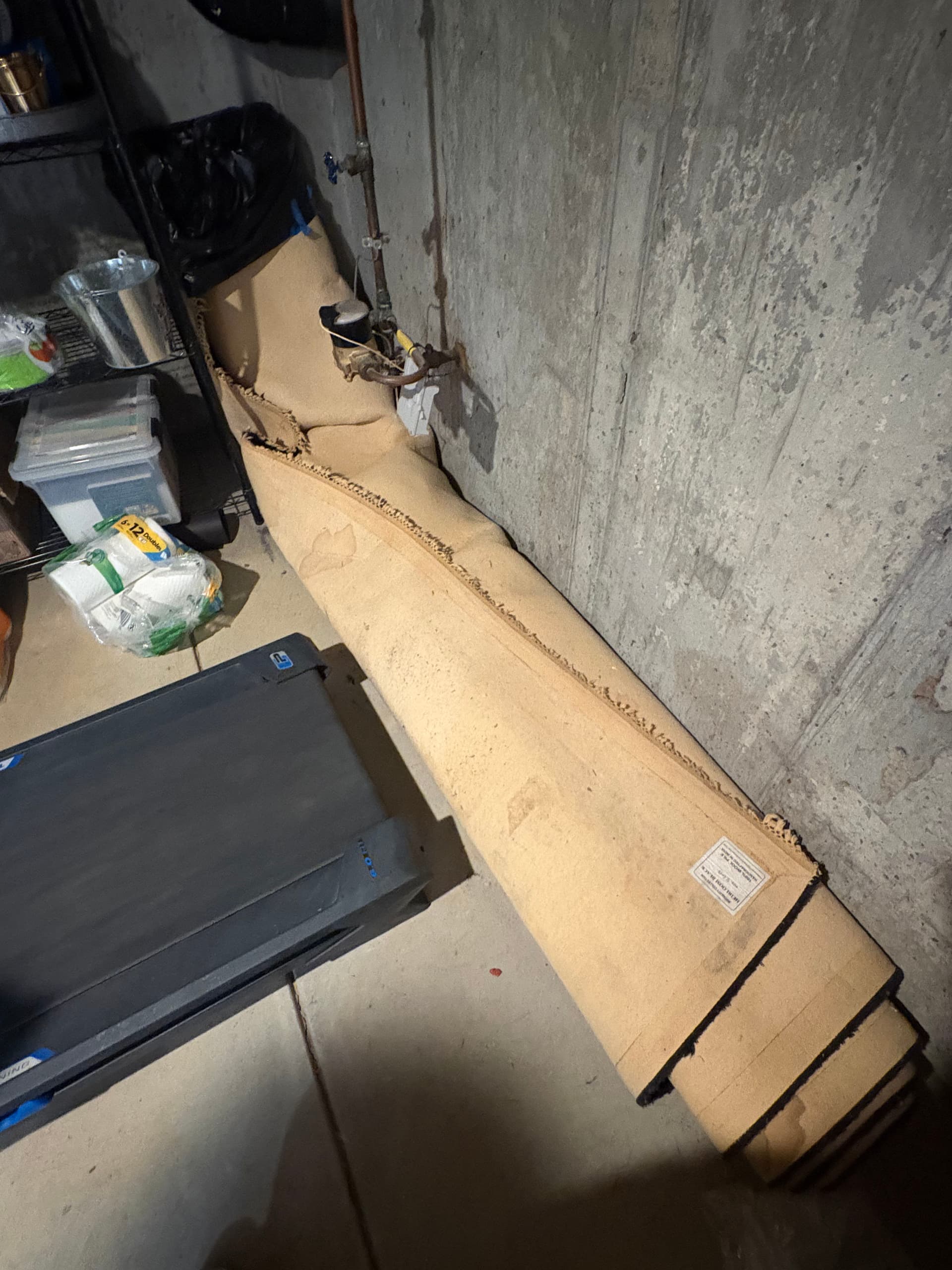 Old Carpet Pulled Out of a Woolwich Basement image