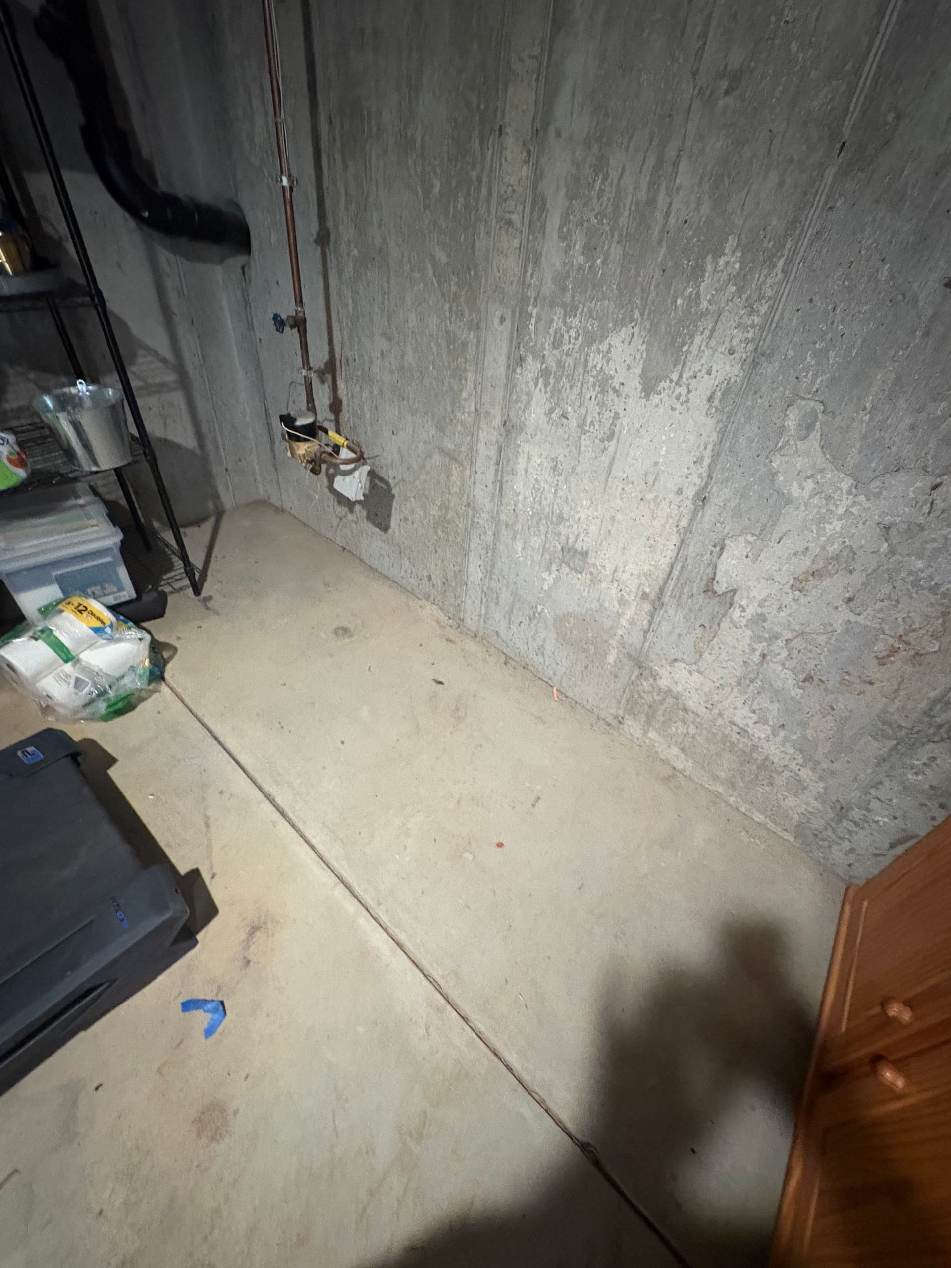 Gallery photos for Old Carpet Pulled Out of a Woolwich Basement: Image #1